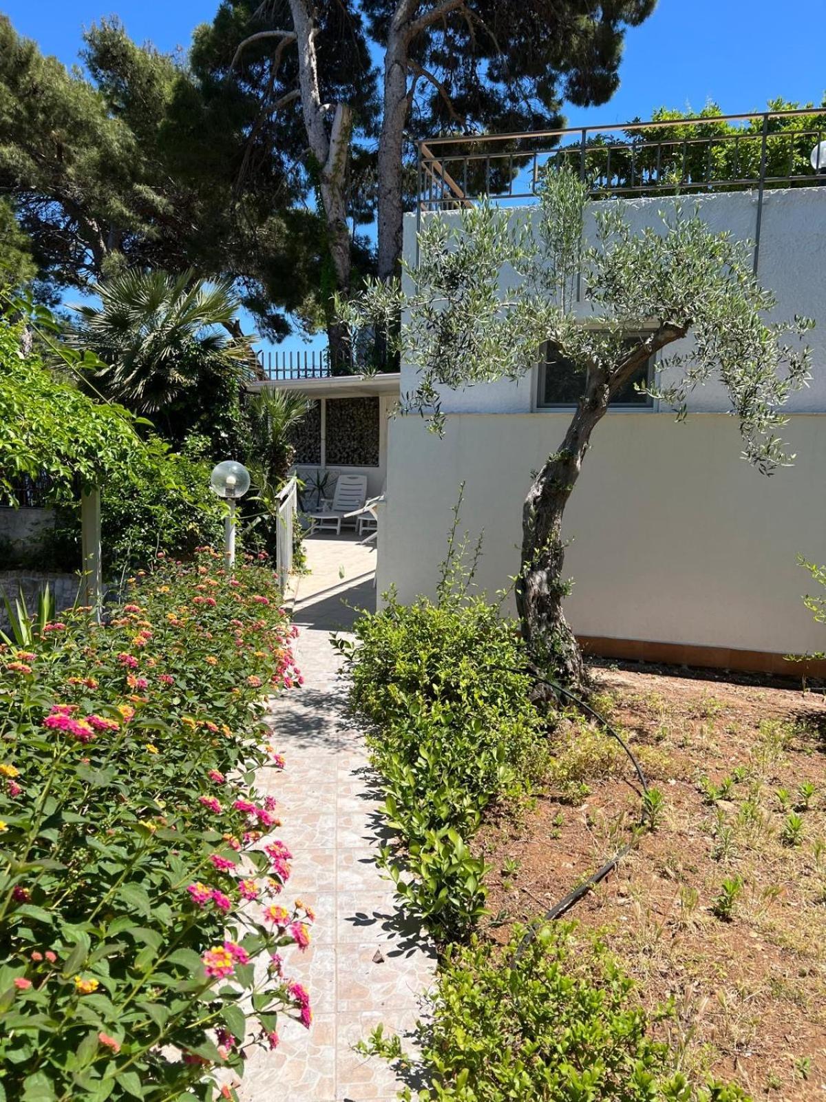 Panoramic Holiday home *