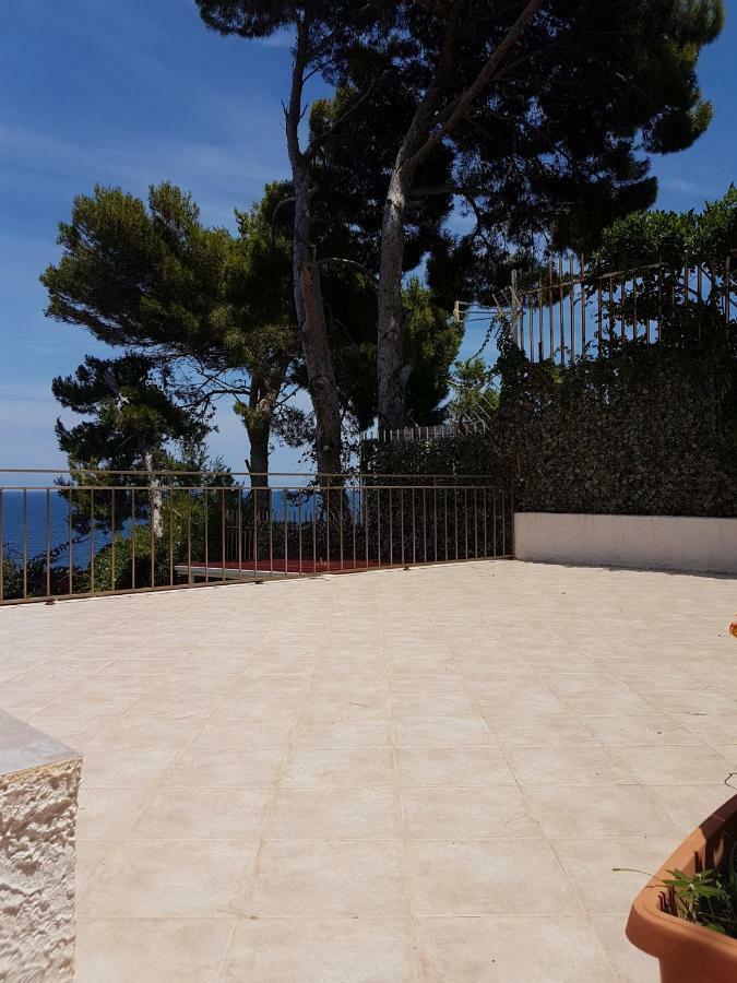 Panoramic